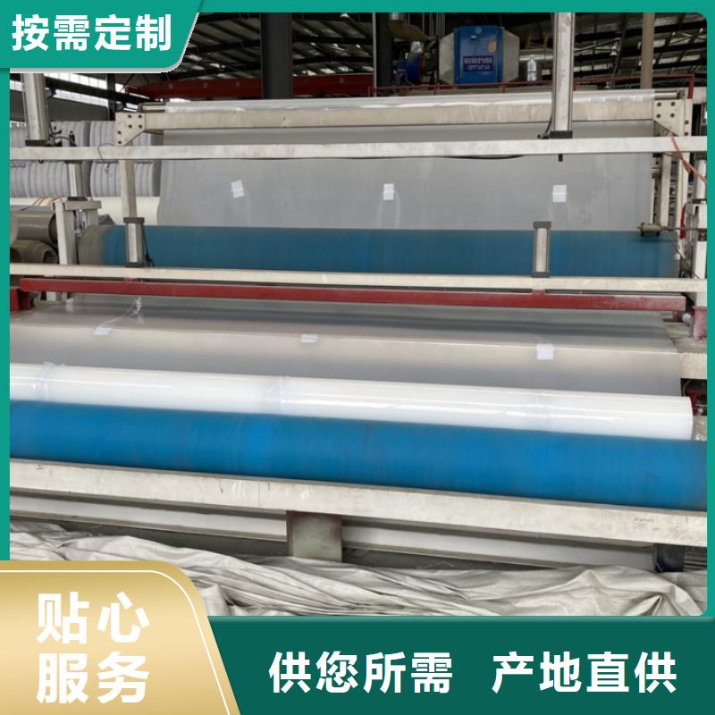 EVA防水板膨润土防水垫多种规格库存充足