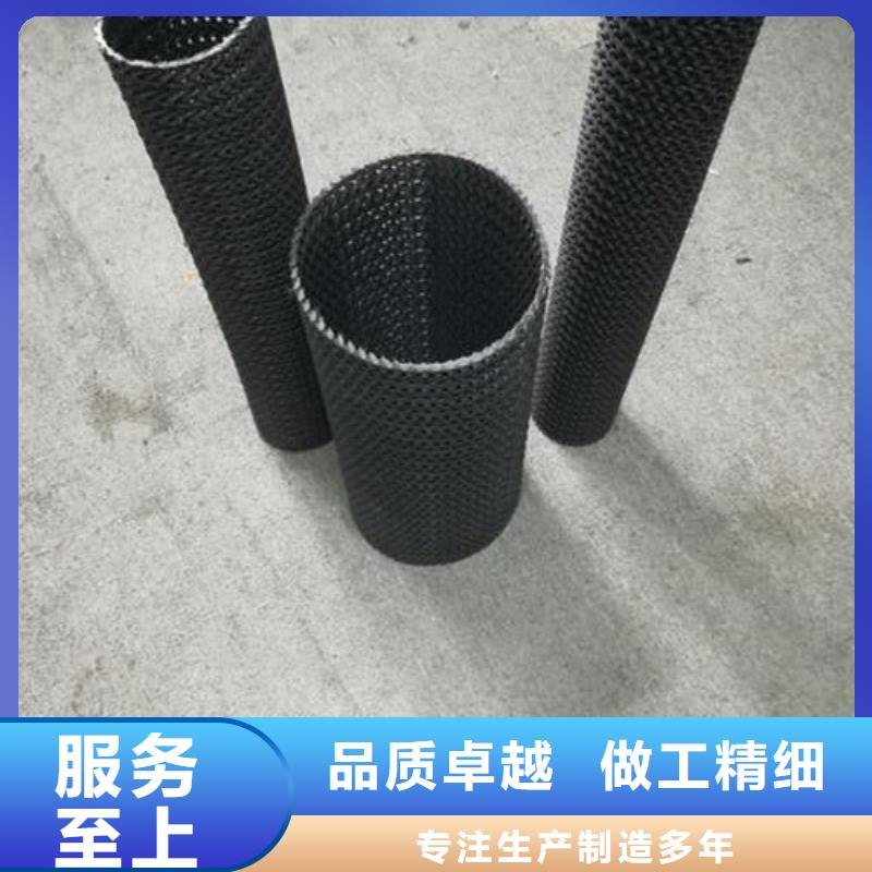 EVA防水板单向塑料土工格栅真实拍摄品质可靠
