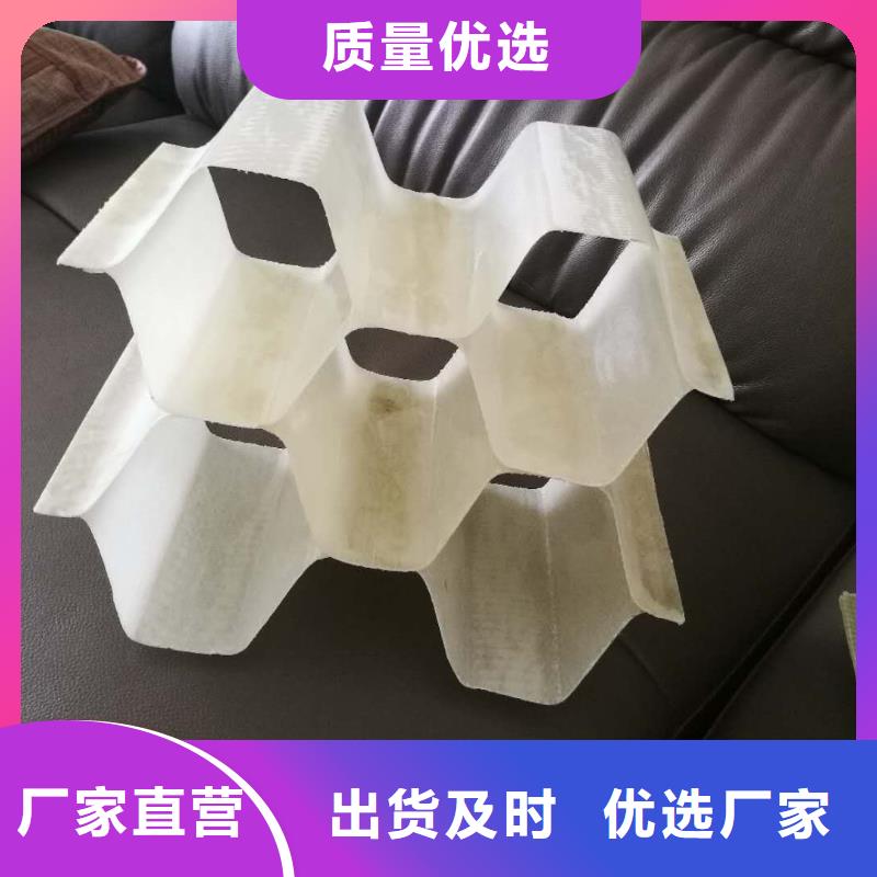 斜管填料_斜板填料一手货源