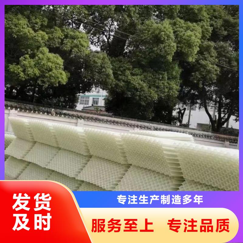 斜管_PAM阴离子的简单介绍
