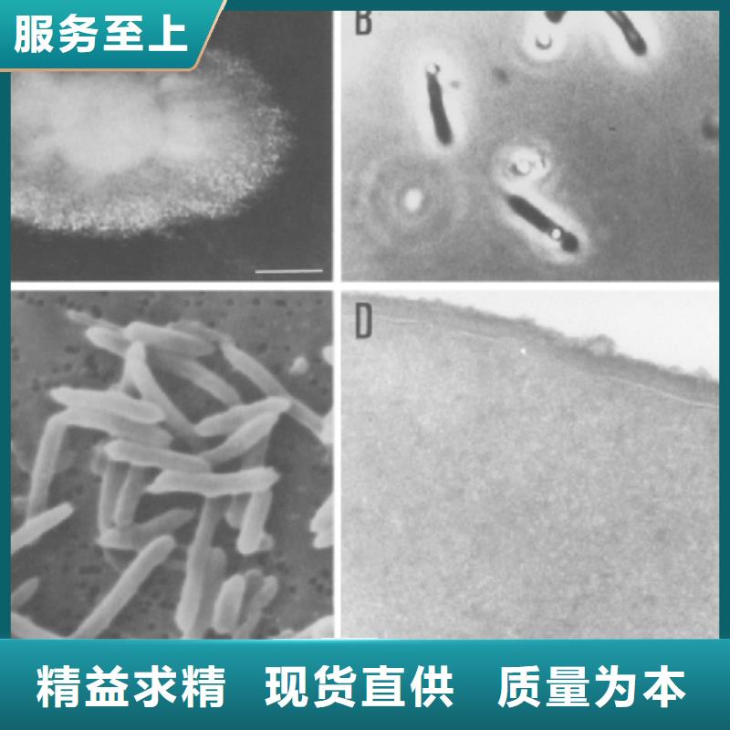 醋酸钠(碳源)品质放心