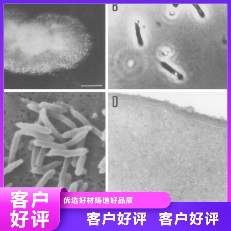 污水处理厂专用碳源无中间商