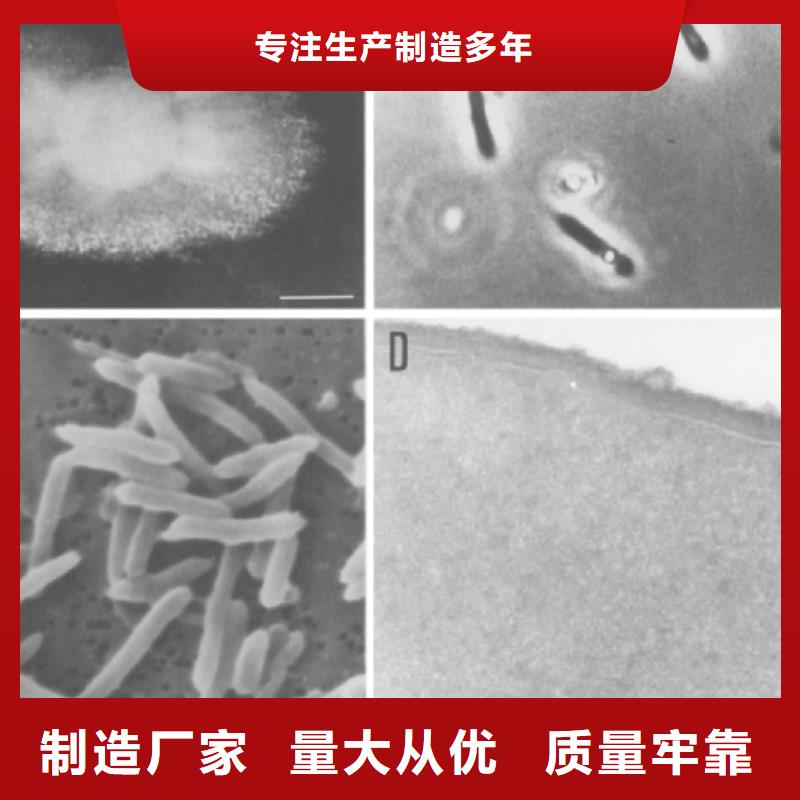 碳源粉末活性炭让利客户