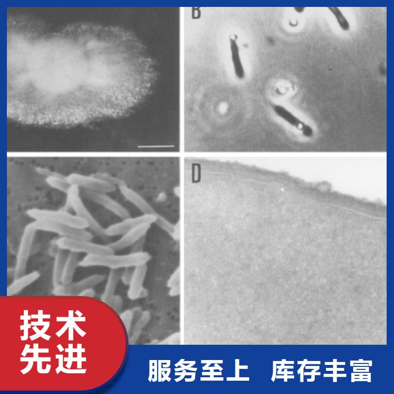 培养菌种碳源制造厂家