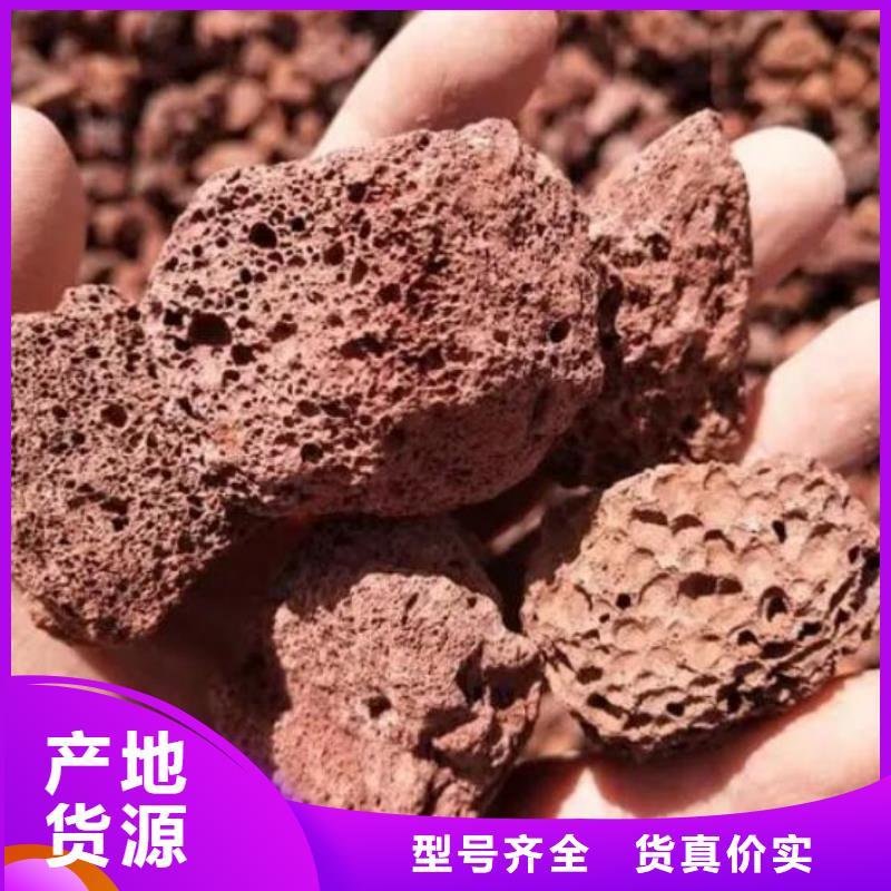 反硝化池用活山岩价格