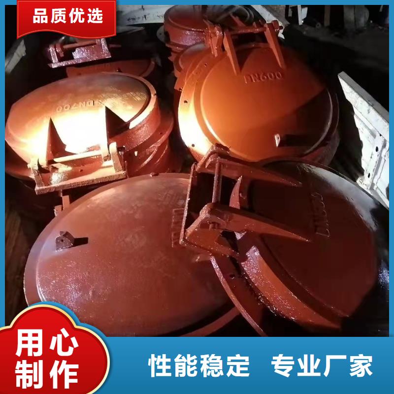 铸铁闸门_泵站清污机行业优选