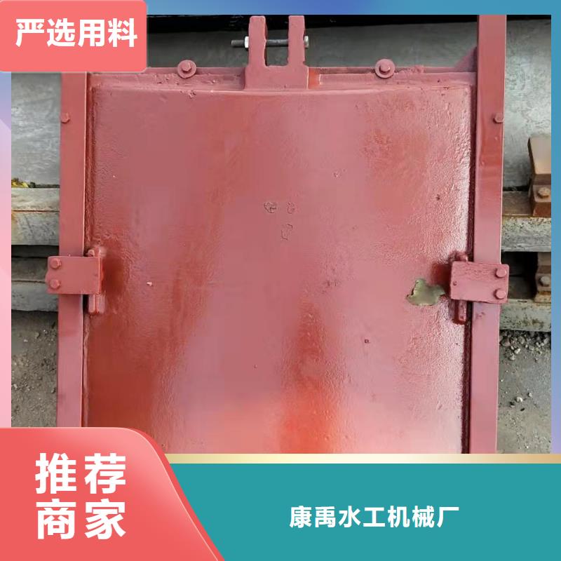 附壁式铸铁闸门支持定制
