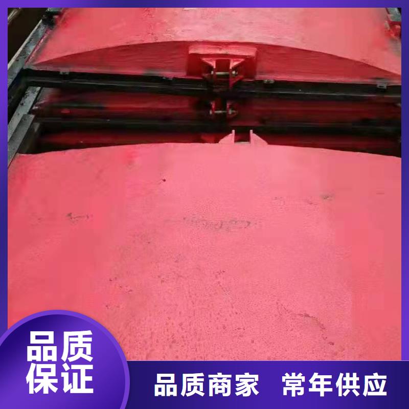 双向止水闸门欢迎电询