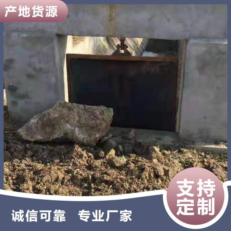 河道铸铁闸门免费提供报价