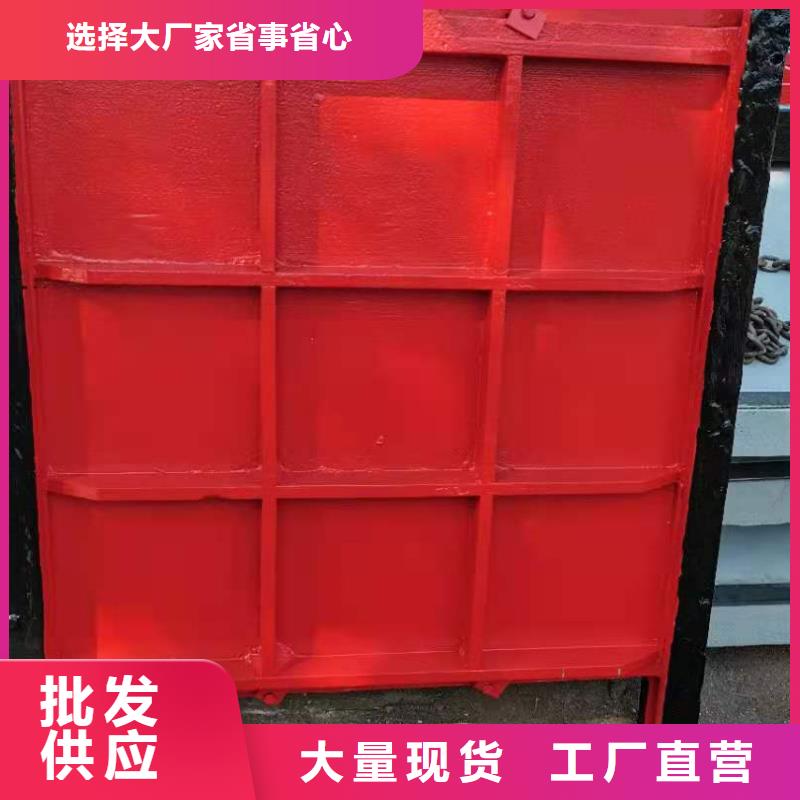 铸铁闸门物美价优