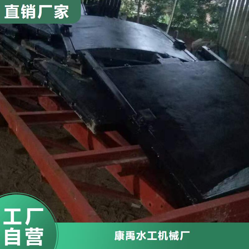 双向止水闸门生产厂家