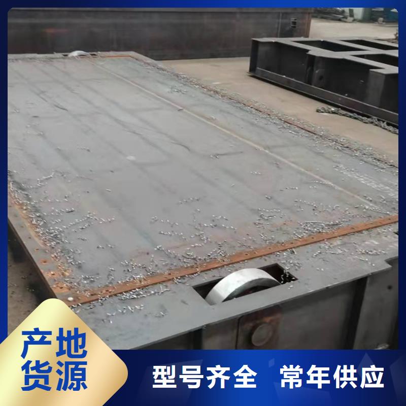 钢坝闸门生产厂家