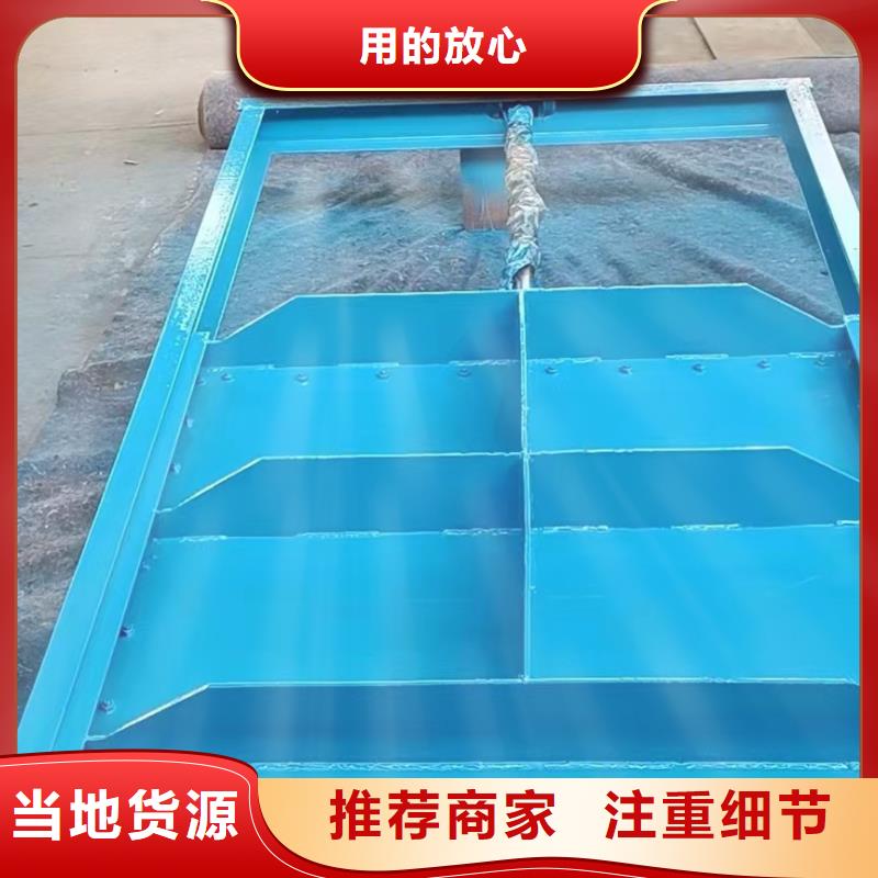 钢闸门 螺杆启闭机实力雄厚品质保障