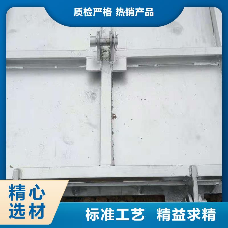 泵站上卧式闸门厂家