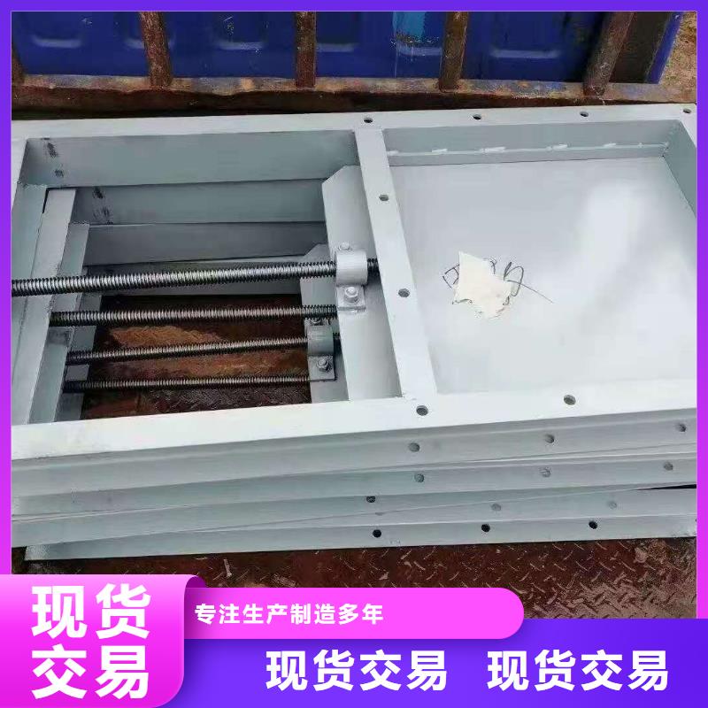 翻板闸门生产厂家