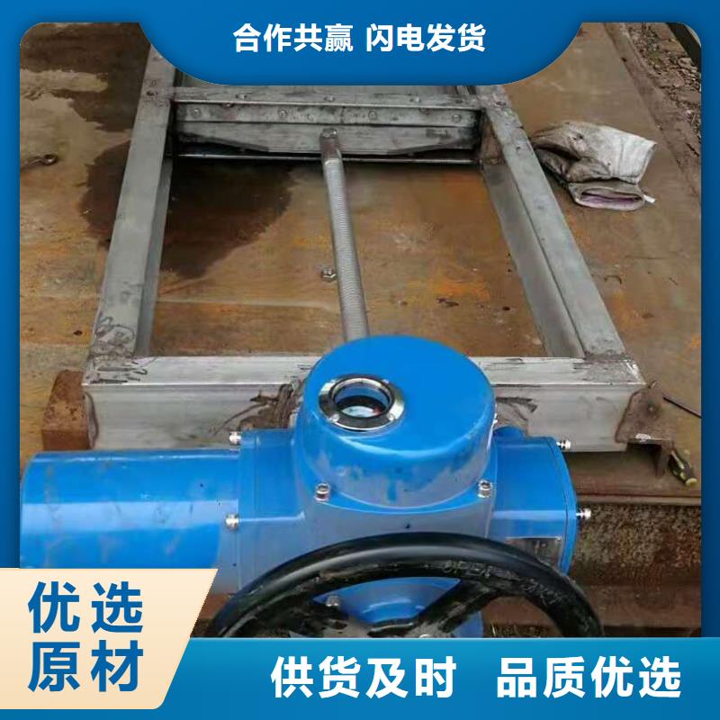  钢闸门经销商