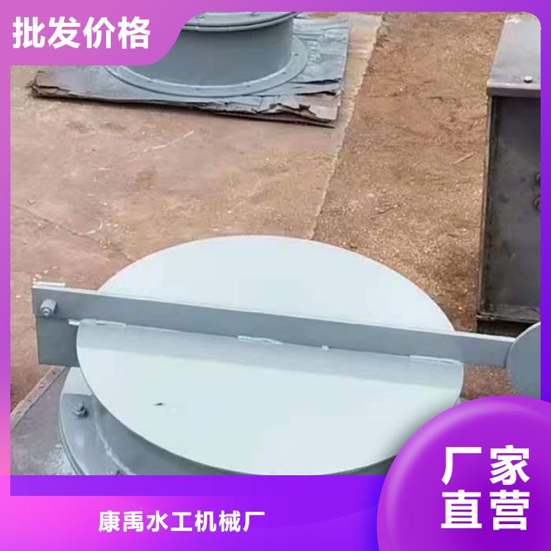 钢闸门-拍门不断创新