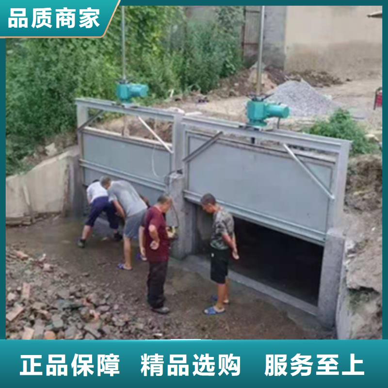 钢制拍门厂家