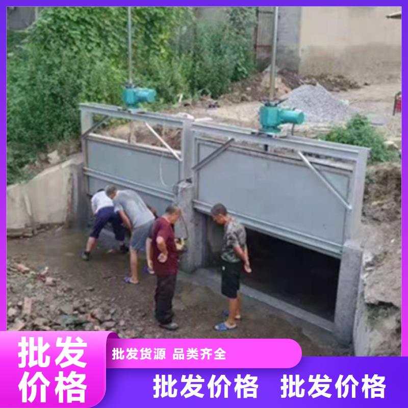 泵站上卧式闸门厂家