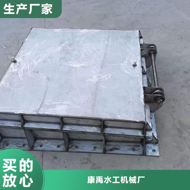 翻板闸门工厂直销