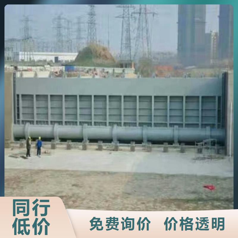 定安县泵站上卧式闸门规格齐全