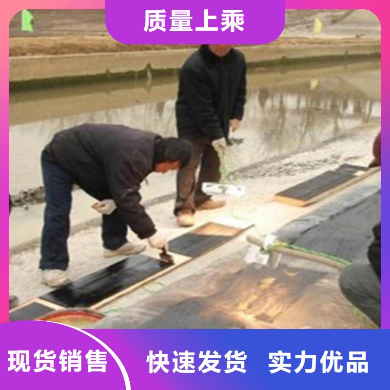 拦水橡胶坝维修施工免费咨询广东省坪山街道