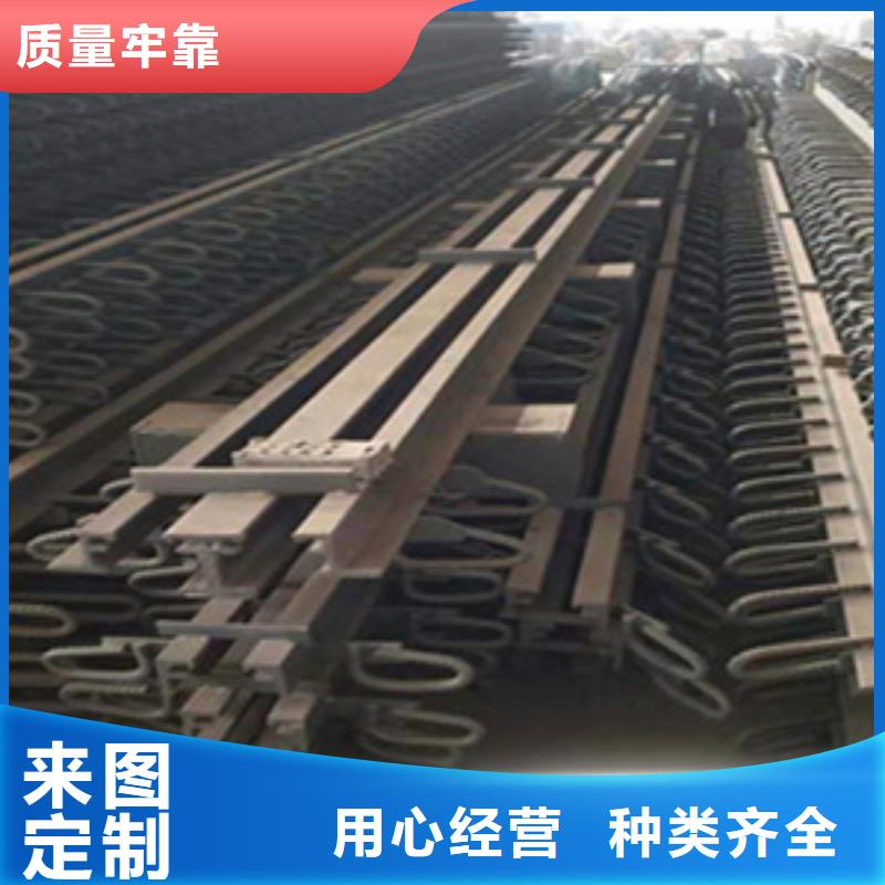 gqf-mzl160型伸缩缝择优