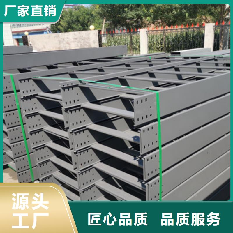 优质托盘式桥架用途