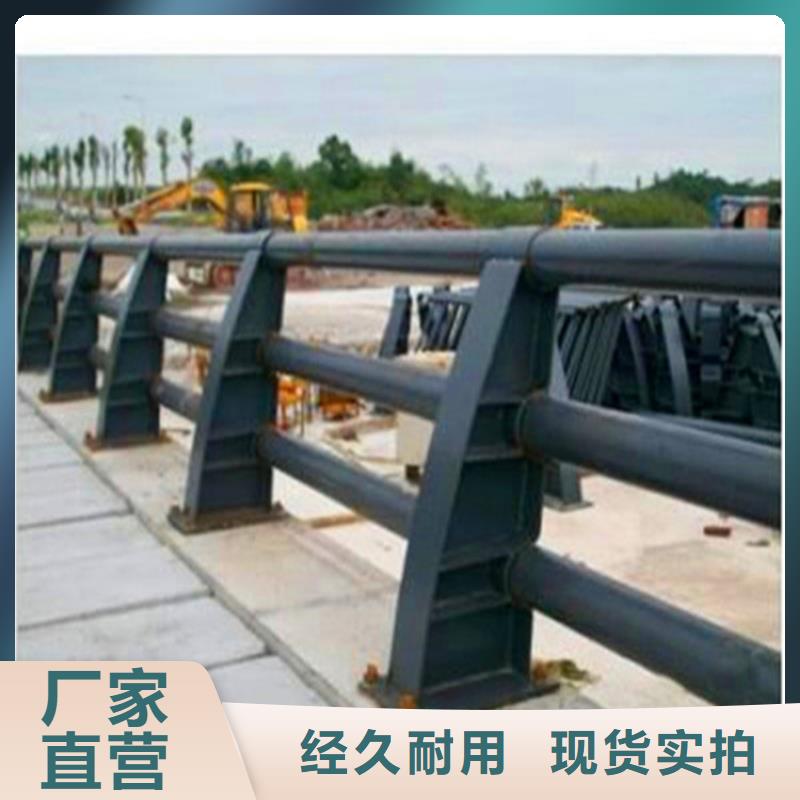 【灯光护栏】,【市政护栏】厂家经验丰富