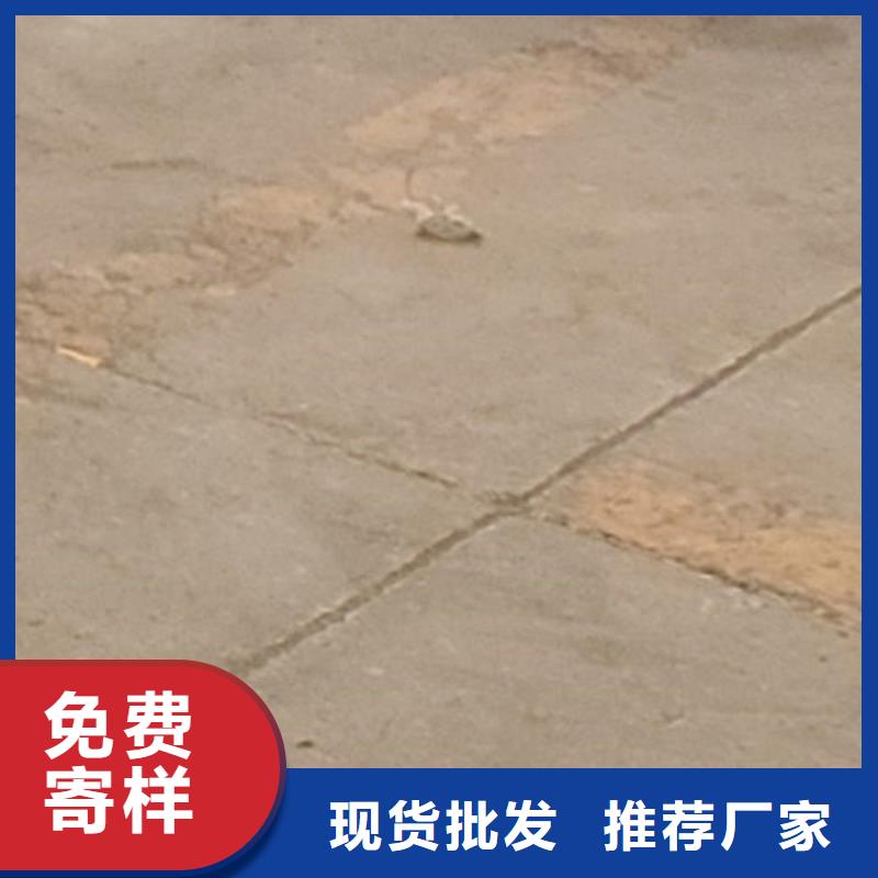 护栏【防撞护栏】优质材料厂家直销