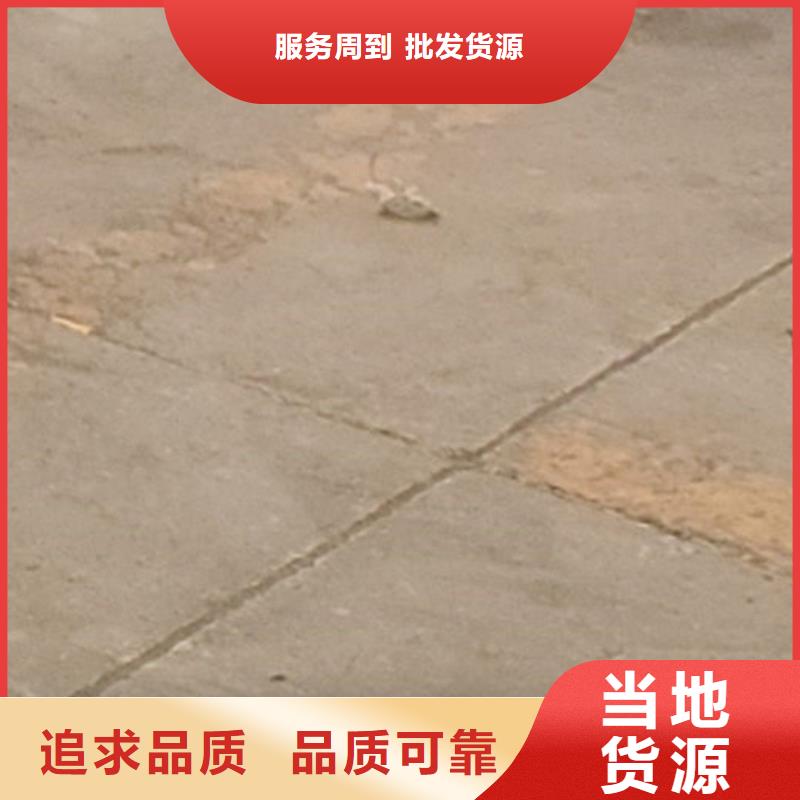 护栏价格实在