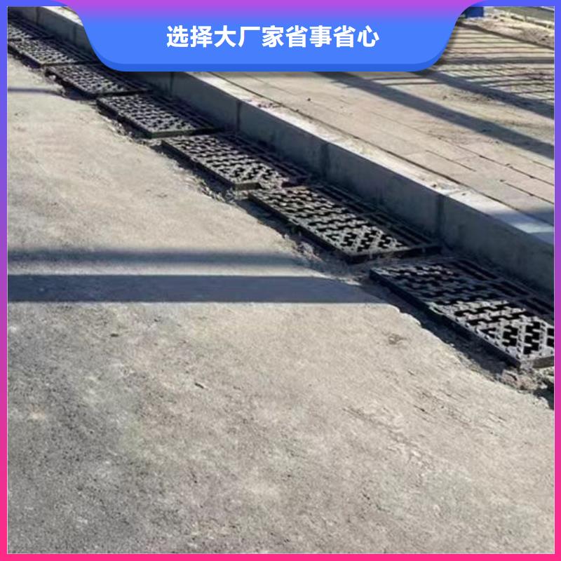201道路隔离护栏厂家定制
