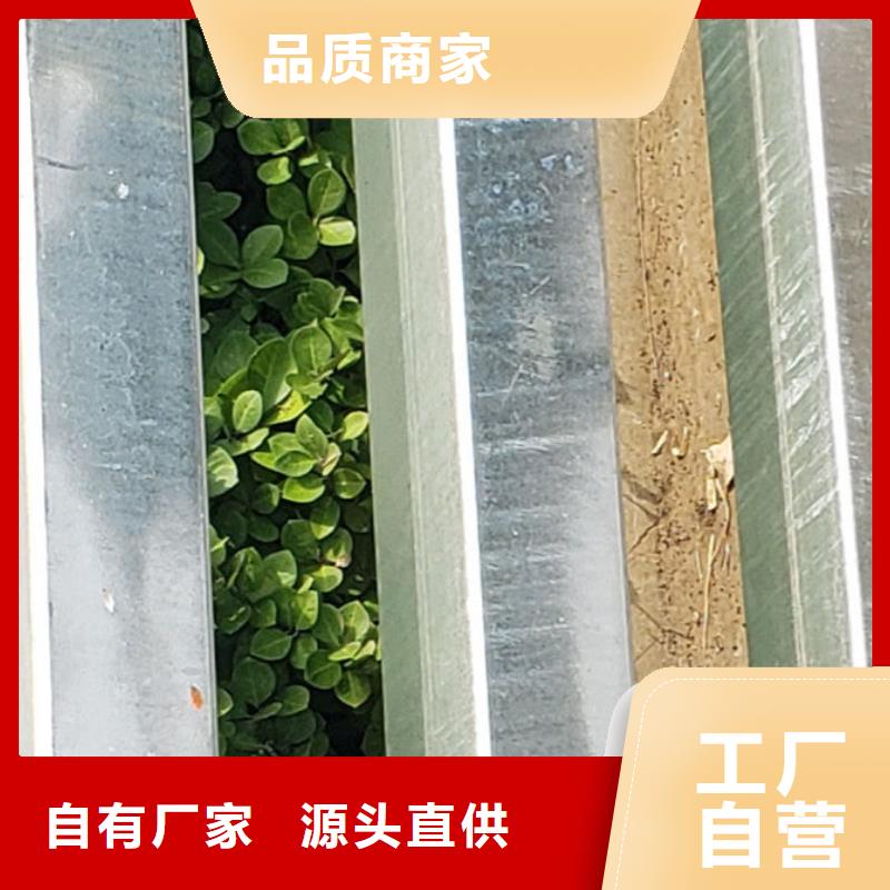 【护栏,国道抗冲击围栏一站式采购】