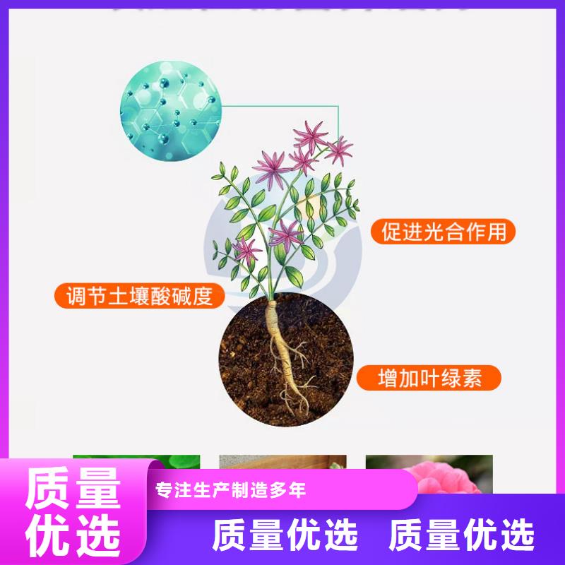 盐碱地硫酸亚铁一站式厂家