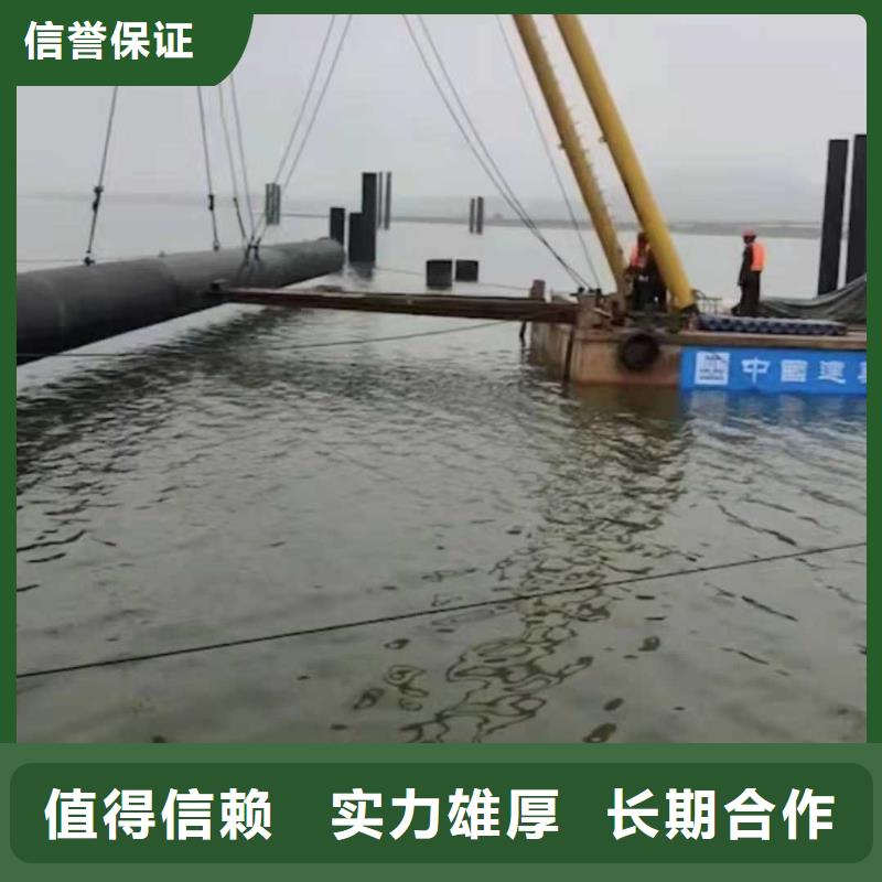 【沉管】蛙人救援团队2025公司精心