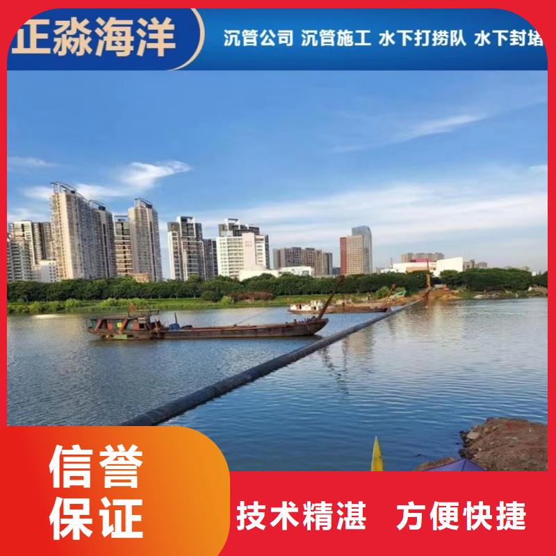 【沉管】蛙人救援团队2025公司精心