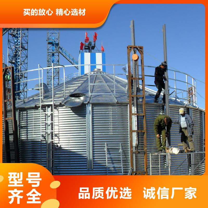 大型立式粮食筒仓-大型立式粮食筒仓品质保证