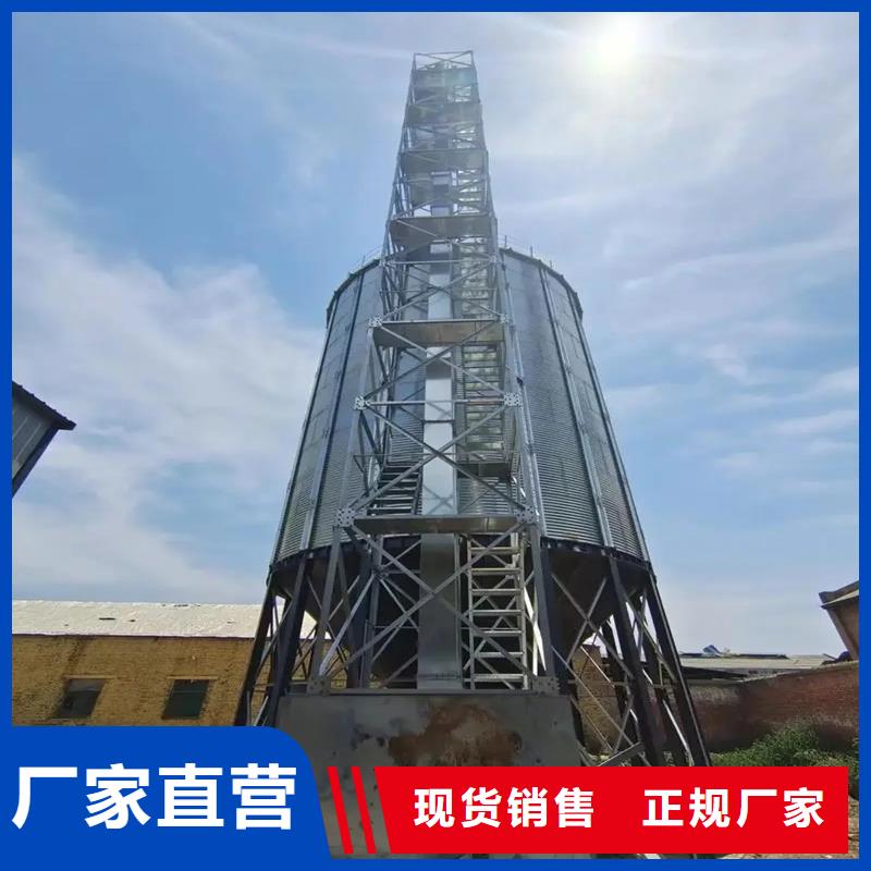 大型立式粮食筒仓匠心品质