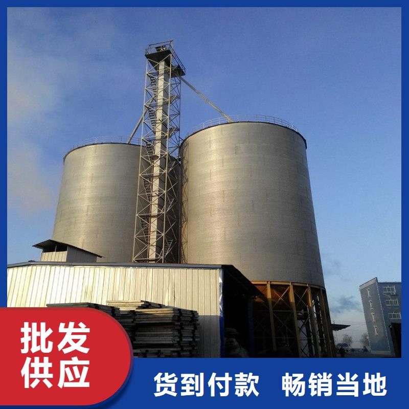 大型立式粮食筒仓匠心品质