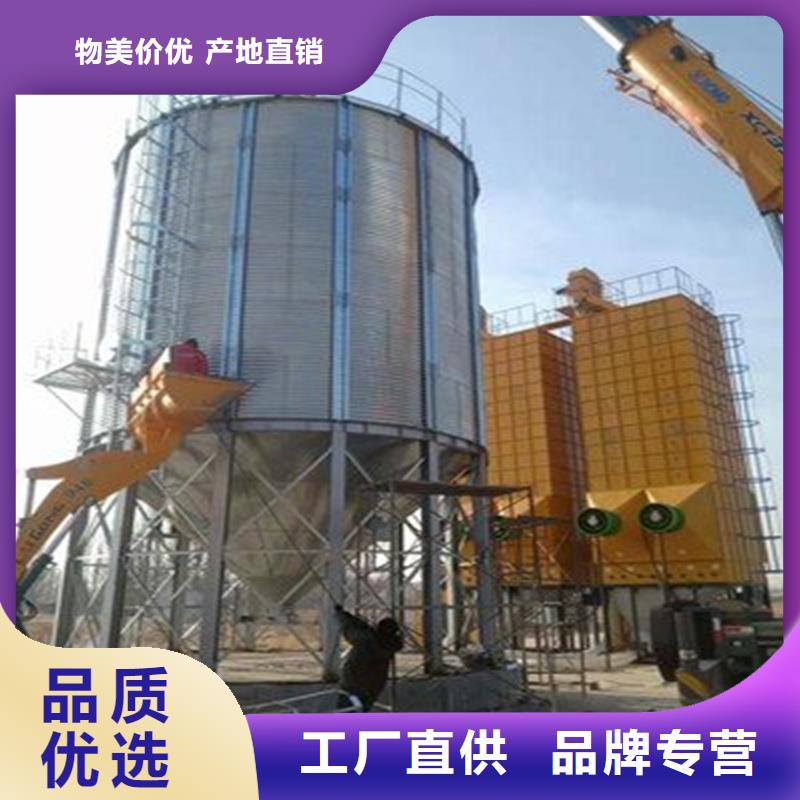 大型立式粮食筒仓匠心品质