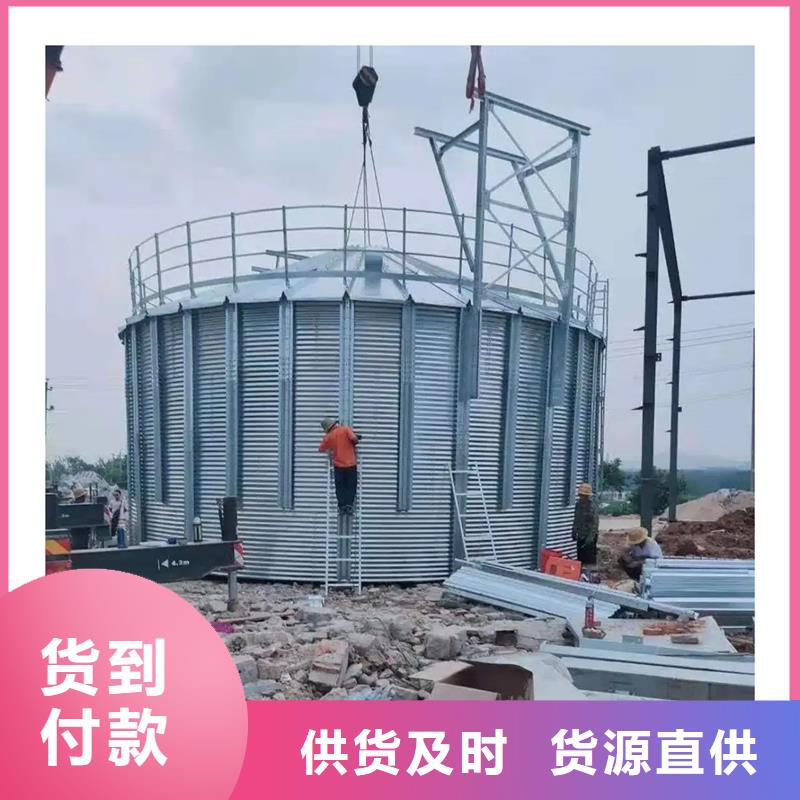 批发玉米豆类装配式钢板仓的供货商