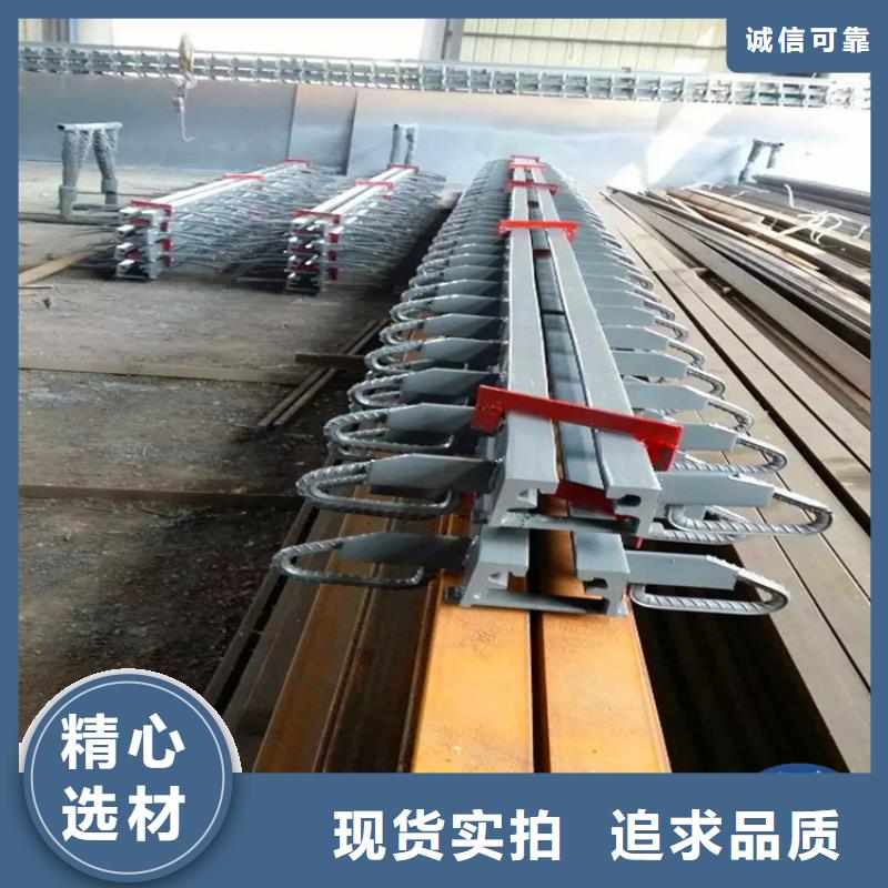 桥梁伸缩缝,网球型支座品种全