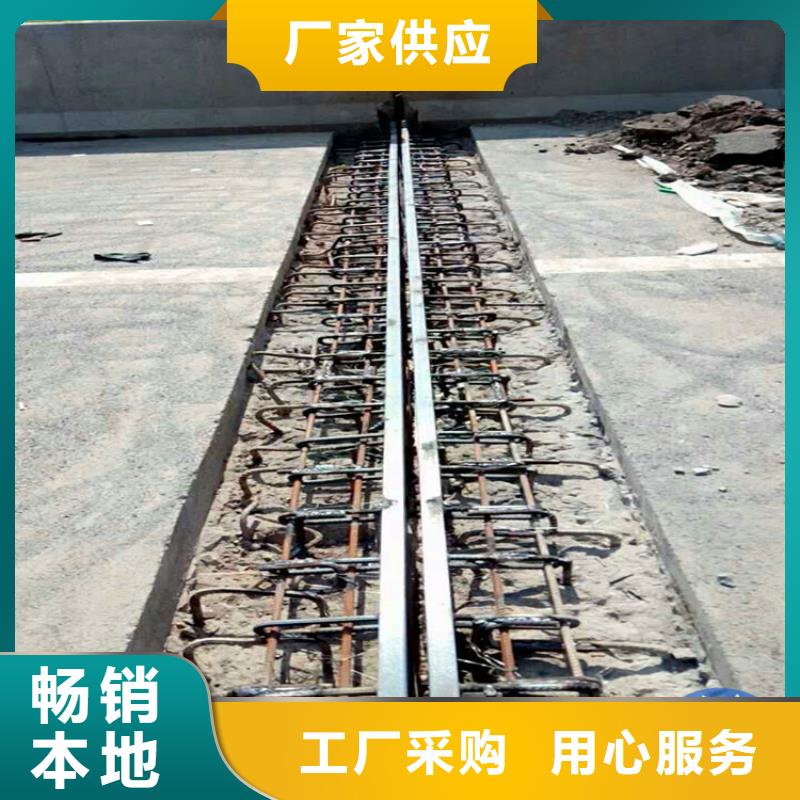 桥梁伸缩缝模数式桥梁伸缩缝一周内发货