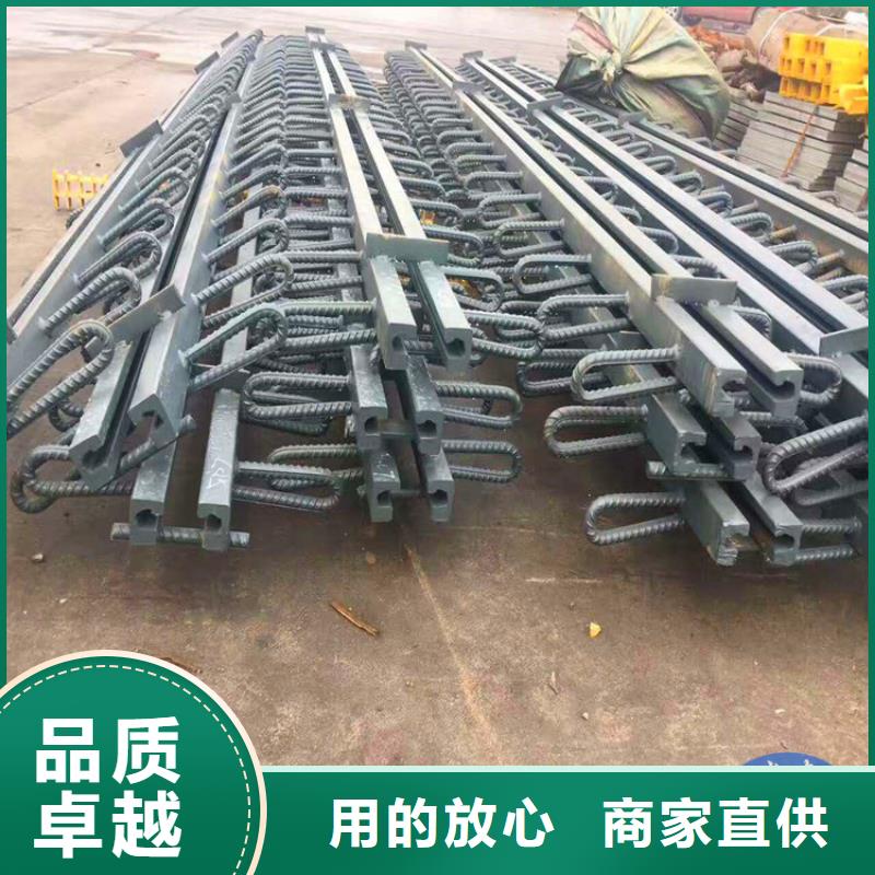 【桥梁伸缩缝-板式橡胶支座通过检测】