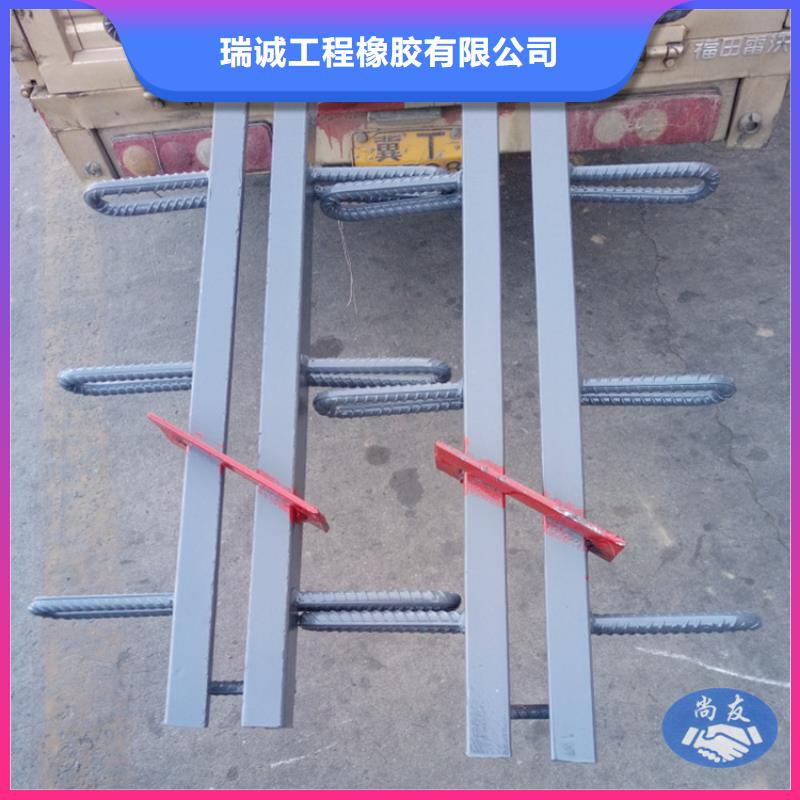 桥梁伸缩缝【网架钢支座】丰富的行业经验