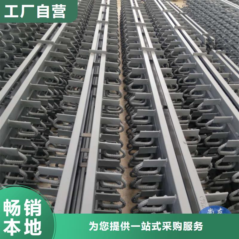 桥梁伸缩缝模数式桥梁伸缩缝制造生产销售