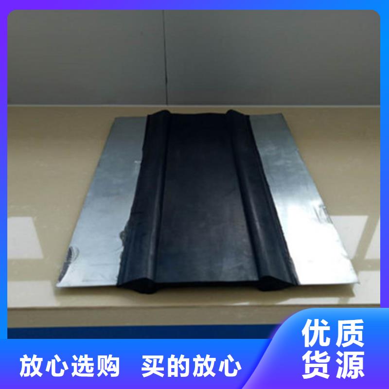 橡胶止水带网架支座厂家讲信誉保质量