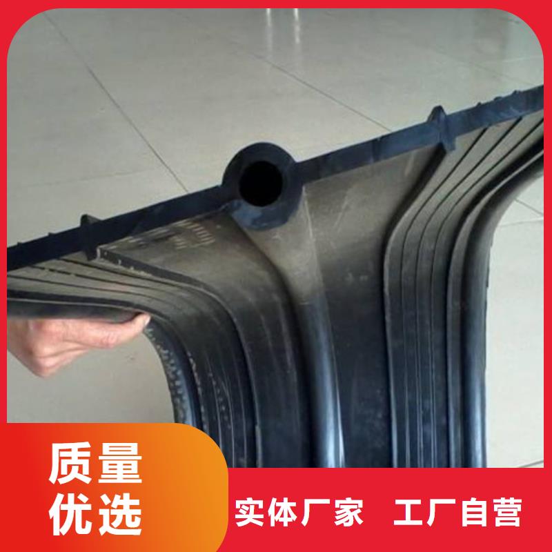 橡胶止水带,球铰支座工厂直销