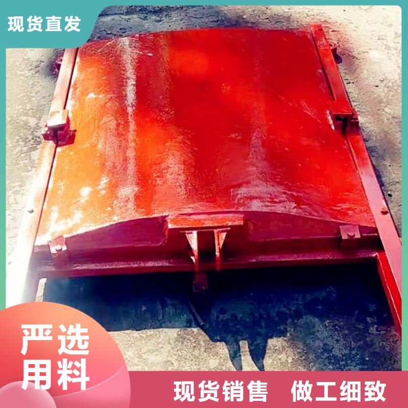 铸铁闸门拦污栅价格低