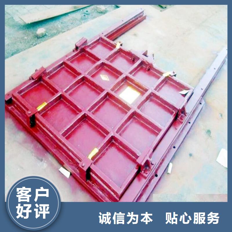 铸铁闸门_【钢制拍门厂家】工厂直供